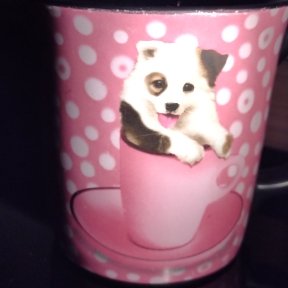 Keith Kimberlein - Picture 8 of 11